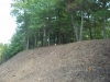 http://dogwoodrealtyllc.com/listings/images/listing_photos/408_BearDenRdHopkins001.jpg