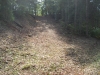 http://dogwoodrealtyllc.com/listings/images/listing_photos/408_BearDenRdHopkins004.jpg