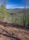http://dogwoodrealtyllc.com/listings/images/listing_photos/408_bear_den3a.jpg