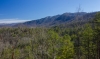 http://dogwoodrealtyllc.com/listings/images/listing_photos/408_bear_den4a.jpg