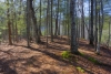 http://dogwoodrealtyllc.com/listings/images/listing_photos/408_bear_den5a.jpg