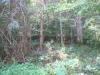 http://dogwoodrealtyllc.com/listings/images/listing_photos/431_20140412154640115473000000o.jpg