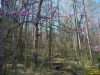 http://dogwoodrealtyllc.com/listings/images/listing_photos/431_20140412160823831762000000o.jpg