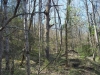 http://dogwoodrealtyllc.com/listings/images/listing_photos/431_20140412160831677270000000o.jpg