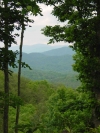 http://dogwoodrealtyllc.com/listings/images/listing_photos/444_38b_Tolliver_Trail.jpg