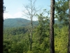 http://dogwoodrealtyllc.com/listings/images/listing_photos/446_LeeganLots64and65TolliverTrail8252016008.jpg