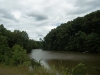http://dogwoodrealtyllc.com/listings/images/listing_photos/448_GeneDixonHisThirstinessProperty027.jpg