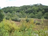 http://dogwoodrealtyllc.com/listings/images/listing_photos/448_GeneDixonHisThirstinessProperty035.jpg