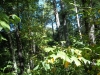 http://dogwoodrealtyllc.com/listings/images/listing_photos/451_ReeseStonegateWayLot579242016001.jpg