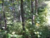 http://dogwoodrealtyllc.com/listings/images/listing_photos/451_ReeseStonegateWayLot579242016003.jpg
