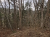 http://dogwoodrealtyllc.com/listings/images/listing_photos/456_GordonFairwayCircle1142017.jpg