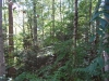 http://dogwoodrealtyllc.com/listings/images/listing_photos/474_RochelleLot11LaurelTrace9232016004.jpg