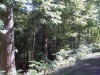 http://dogwoodrealtyllc.com/listings/images/listing_photos/474_RochelleLot11LaurelTrace9232016005.jpg