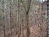 http://dogwoodrealtyllc.com/listings/images/listing_photos/492_20130827204419424611000000o.jpg
