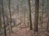 http://dogwoodrealtyllc.com/listings/images/listing_photos/492_20130827204419746499000000o.jpg