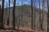 http://dogwoodrealtyllc.com/listings/images/listing_photos/504_392_graham_lot11a.jpg
