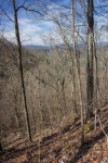 http://dogwoodrealtyllc.com/listings/images/listing_photos/504_392_graham_lot12a.jpg