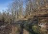 http://dogwoodrealtyllc.com/listings/images/listing_photos/504_392_graham_lot1a.jpg