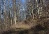 http://dogwoodrealtyllc.com/listings/images/listing_photos/504_392_graham_lot2a.jpg
