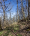 http://dogwoodrealtyllc.com/listings/images/listing_photos/504_392_graham_lot5a.jpg