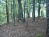 http://dogwoodrealtyllc.com/listings/images/listing_photos/505_BearDenRdHopkins005.jpg