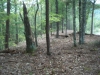 http://dogwoodrealtyllc.com/listings/images/listing_photos/505_BearDenRdHopkins021.jpg