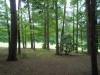 http://dogwoodrealtyllc.com/listings/images/listing_photos/523_100_9744.jpg