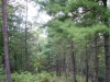 http://dogwoodrealtyllc.com/listings/images/listing_photos/527_ThomasonStonegateWayPicture.jpg