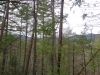 http://dogwoodrealtyllc.com/listings/images/listing_photos/539_GreenAceGapRdLot12222017002.jpg