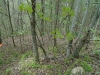 http://dogwoodrealtyllc.com/listings/images/listing_photos/542_1.jpg