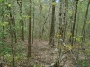http://dogwoodrealtyllc.com/listings/images/listing_photos/542_3.jpg