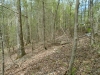 http://dogwoodrealtyllc.com/listings/images/listing_photos/542_4.jpg