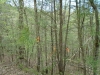 http://dogwoodrealtyllc.com/listings/images/listing_photos/542_5.jpg