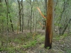 http://dogwoodrealtyllc.com/listings/images/listing_photos/542_6.jpg
