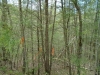 http://dogwoodrealtyllc.com/listings/images/listing_photos/542_7.jpg