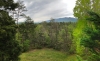http://dogwoodrealtyllc.com/listings/images/listing_photos/547_218_view1.jpg