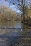 http://dogwoodrealtyllc.com/listings/images/listing_photos/414_river_lot1a.jpg