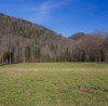 http://dogwoodrealtyllc.com/listings/images/listing_photos/414_river_lot3a.jpg