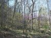 http://dogwoodrealtyllc.com/listings/images/listing_photos/431_20140412160808539509000000o.jpg