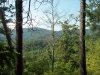 http://dogwoodrealtyllc.com/listings/images/listing_photos/446_LeeganLots64and65TolliverTrail8252016007.jpg