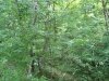 http://dogwoodrealtyllc.com/listings/images/listing_photos/448_GeneDixonHisThirstinessProperty021.jpg