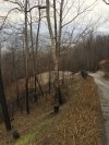 http://dogwoodrealtyllc.com/listings/images/listing_photos/459_IMG_1743JPG.jpg