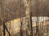 http://dogwoodrealtyllc.com/listings/images/listing_photos/459_IMG_1749JPG.jpg
