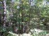 http://dogwoodrealtyllc.com/listings/images/listing_photos/474_RochelleLot11LaurelTrace9232016006.jpg