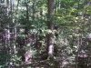 http://dogwoodrealtyllc.com/listings/images/listing_photos/474_RochelleLot11LaurelTrace9232016009.jpg
