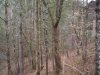 http://dogwoodrealtyllc.com/listings/images/listing_photos/492_20130827204419424611000000o.jpg