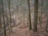 http://dogwoodrealtyllc.com/listings/images/listing_photos/492_20130827204419746499000000o.jpg