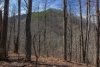 http://dogwoodrealtyllc.com/listings/images/listing_photos/504_392_graham_lot11a.jpg