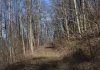 http://dogwoodrealtyllc.com/listings/images/listing_photos/504_392_graham_lot2a.jpg