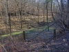 http://dogwoodrealtyllc.com/listings/images/listing_photos/504_392_graham_lot4a.jpg